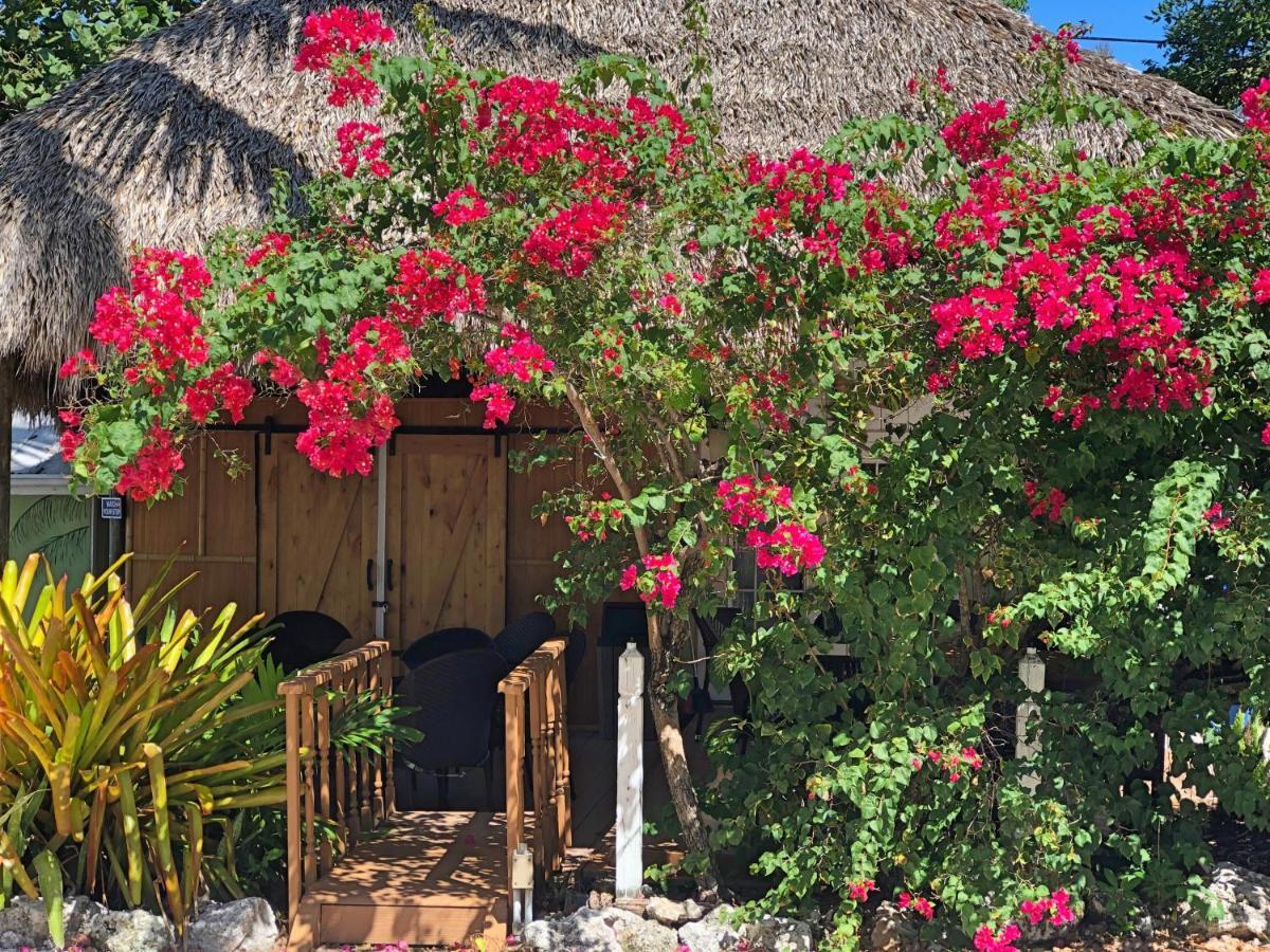 The Pelican Key Largo Cottages Exterior photo